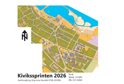 Kivik sprint1