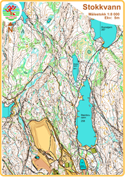 Stokkvann