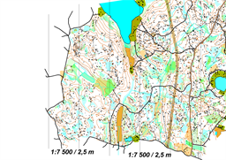 SärkijärviE_duuni