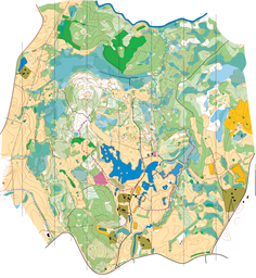 Lubeja 2025_10000