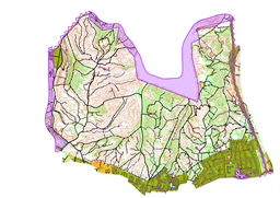 Chwarzno-Wiczlino MTBO 2026 okrojone