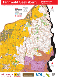 Tannwald 20200623