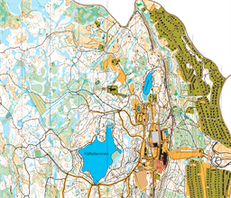 Billingen 251119