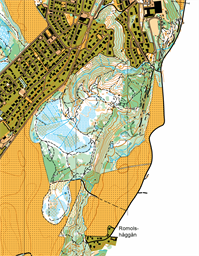Treiningsløp 10 juni 2026