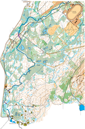 SteinsÃ¥svannet_bymesterskap2020_oppdat.juni2026