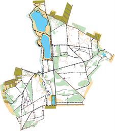 borowiec-mtbo-cut