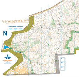 Stringybark May 2024