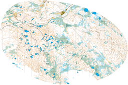 Utsnitt granåsen 2