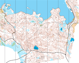 Häsbo träning 26