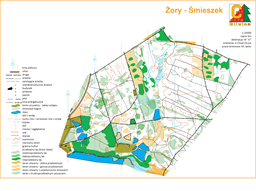Zory_smieszek
