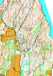 Henestangen  2025 N
