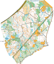 Träslända_20260520 utsnitt tävling