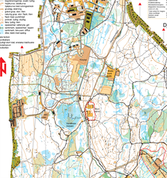 2026 Björkvallen-Jutviken_S1035_2026-06-20