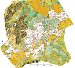 [2025]GezerNahshon
