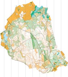 Raitininkai_New_Apsingė