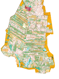 Trako_mikyciu (5) (1)