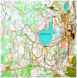 Billingen 260821 Öppna 11