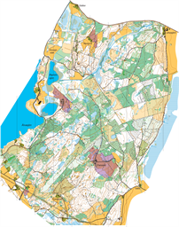 DM_Hakestad_norr_Livelox