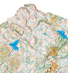 Skogskart O-fest 7 juni