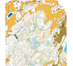 Utsnitt DM Natt 2026 karta