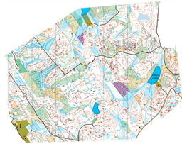 Pikku-Lattio_8.6.2025 (2) 10000