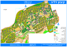 דליה 2025 עם מסגרת - העתק תקין - קנמ 3500