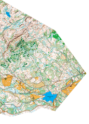 Skogskart O-fest 7 juni