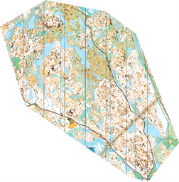 Olskeppetorp tallskogen 2024