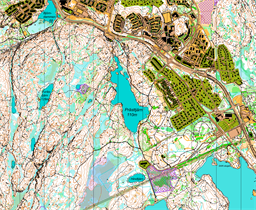 Knipeflåg