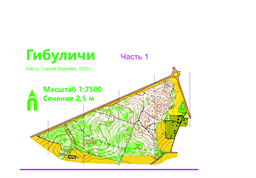 Гiбулiчы