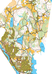 MTBO_Hela Svängsta_260820_pernillas färger