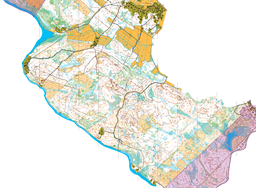 Brandon 20260909 nybro