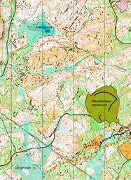 Stor-Gimse_2026-10-14