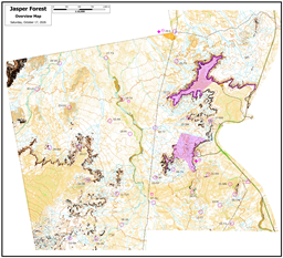 20261017_JasperForest_1_10000_AllControls