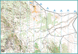 Kooyoora Gullies