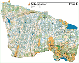 Beitlandskjølen