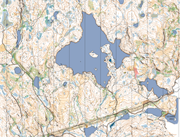 Øyvann