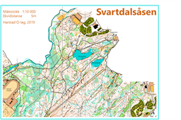 Svartdalsåsen