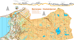 Børrenøse - Vesleåntjernet