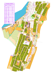Årsunda Sprint