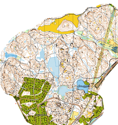 Törnskogen
