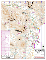 Needle Vista Score-O