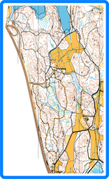 Granskog utsnitt Natt-KM