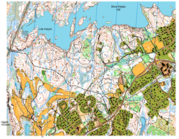 Knipeflåg