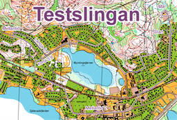 Testslingan