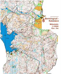 Bermingrud