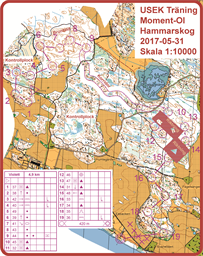 Moment-Ol Hammarskog Violett