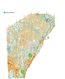 Eivindåsen, Opheim