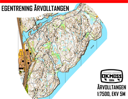 Årvolltangen