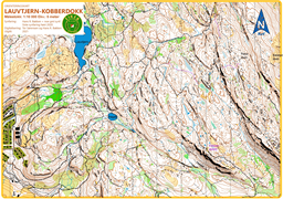 Lauvtjern---Kobberdokk-A4L-10000-2021 (1)